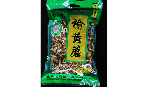 食用菌廠(chǎng)家